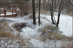 фото "предзимье 3"