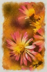 photo "***"