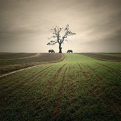 photo "Between"