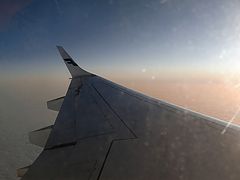 фото "going south"