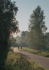 фото "Утро в парке"