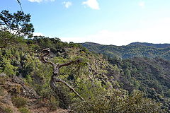 photo "Dancing in the mountains"