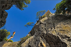 photo "Mirando al cielo"