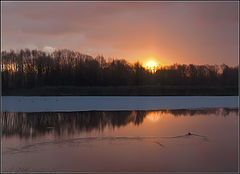 фото "к солнцу"