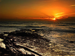 photo "Homo Sapiens"
