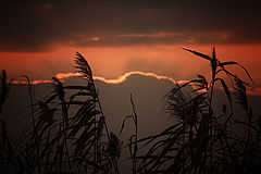 photo "***"