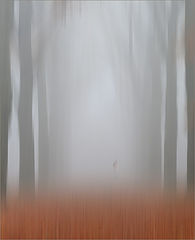 фото "Misty Autumnmorning"