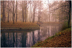 фото "..."