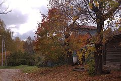 photo "***"