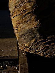 photo "***"