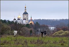 фото "осенняя пастораль"