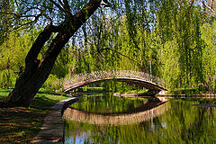 photo "Agreement spring"