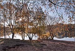 фото "прошедшая осень"