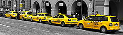 photo "Taxi Taxi!!"