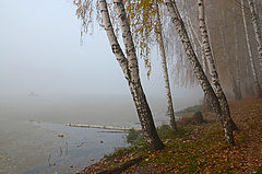 photo "***"
