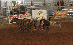 photo "Rodeo"