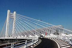 photo "Graceful bridge"
