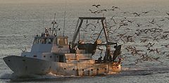 photo "the boat comes back home"