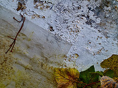 photo "***"
