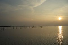 фото "end of river (2)"