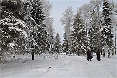 фото "Встретились"