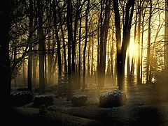 photo "Misty Morning"