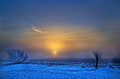 photo "Winter Sunrise"