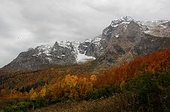 photo "***"