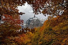 photo "***"