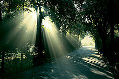 photo "Early October"