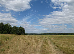 фото "Дорогами лета"