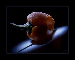 photo "***"