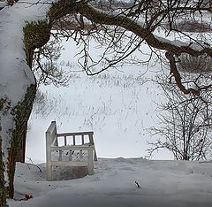 фото "Ожидание весны..."