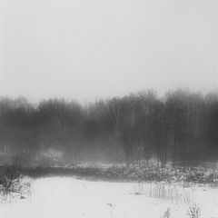 photo "***"