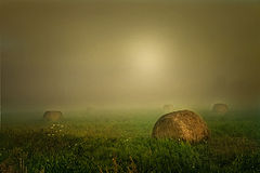 photo "Moods of Autummn"