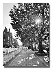 photo "***"