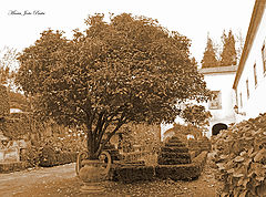 photo "Gouveia"