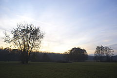 фото "late evening"