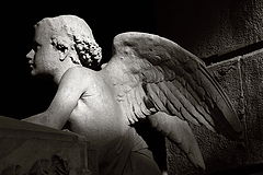фото "angel light"