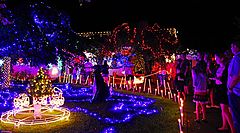 фото "Admiring my neighbours Xmas Lights."