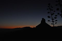 фото "***"