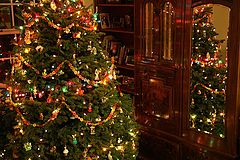 фото "Reflecting On The Holidays"