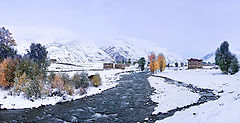 фото "snow"