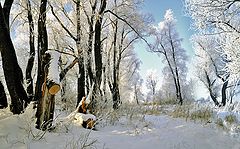 photo "***"