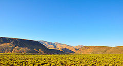 photo "***"