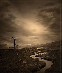 photo "***"
