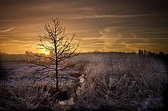 photo "New Day Dawning"