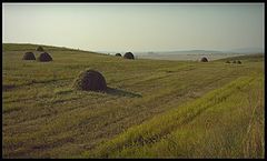 photo "***"