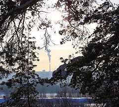 photo "PERFECT WEATHER!"