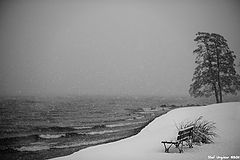 фото "Waiting For..."